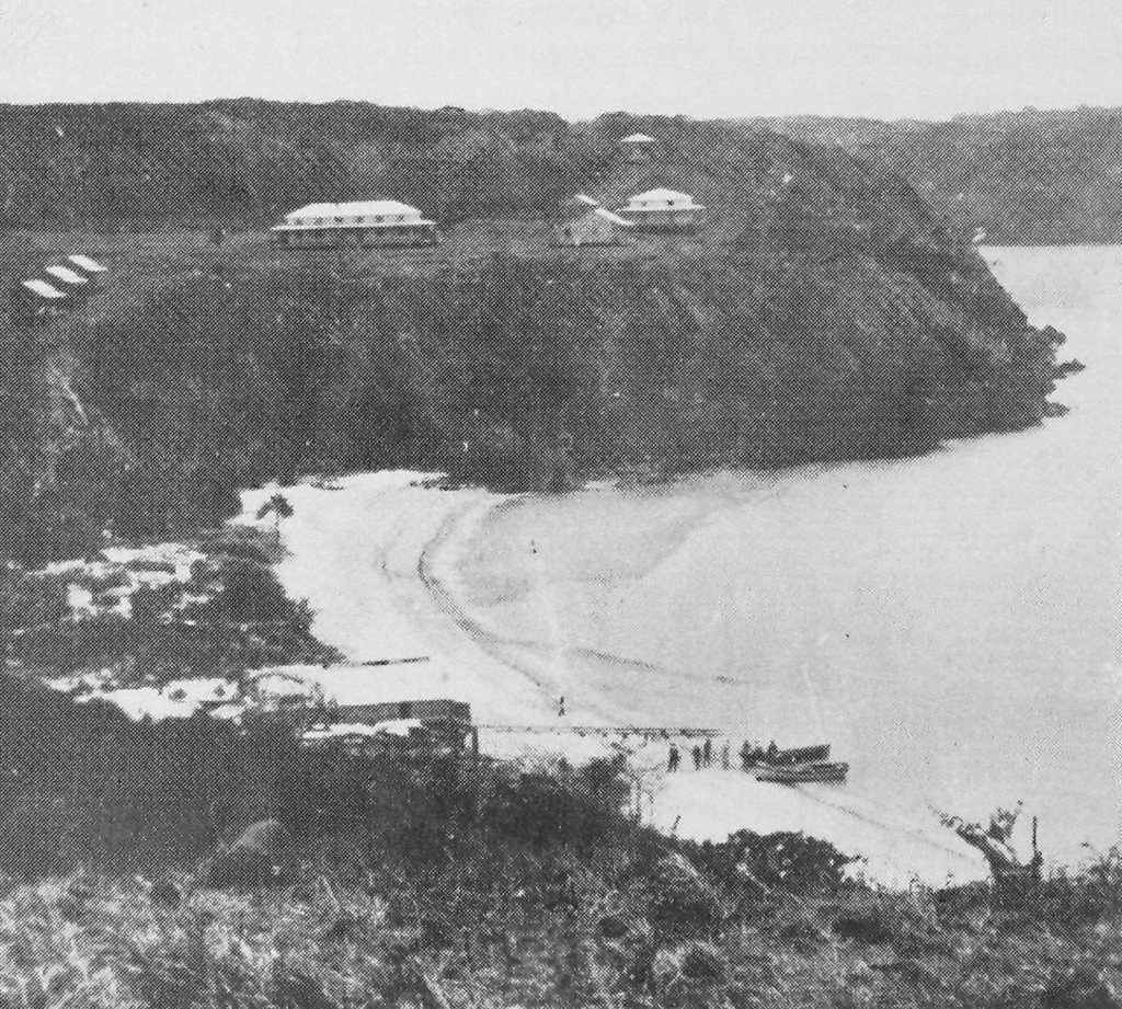 A photograph of Somerset in 1866, at the top of Cape York, two years after its settlement showing two mature coconut palms growing on the littoral edge of the beach.