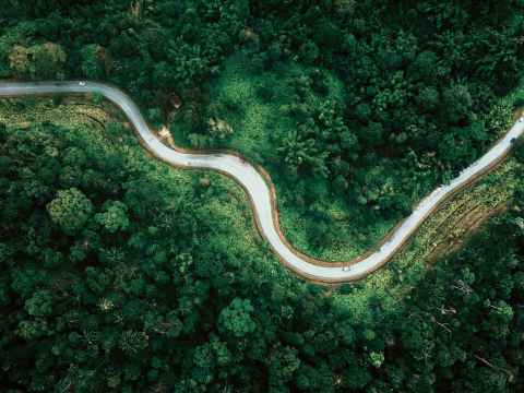 drone view narrow curvy road between green forest